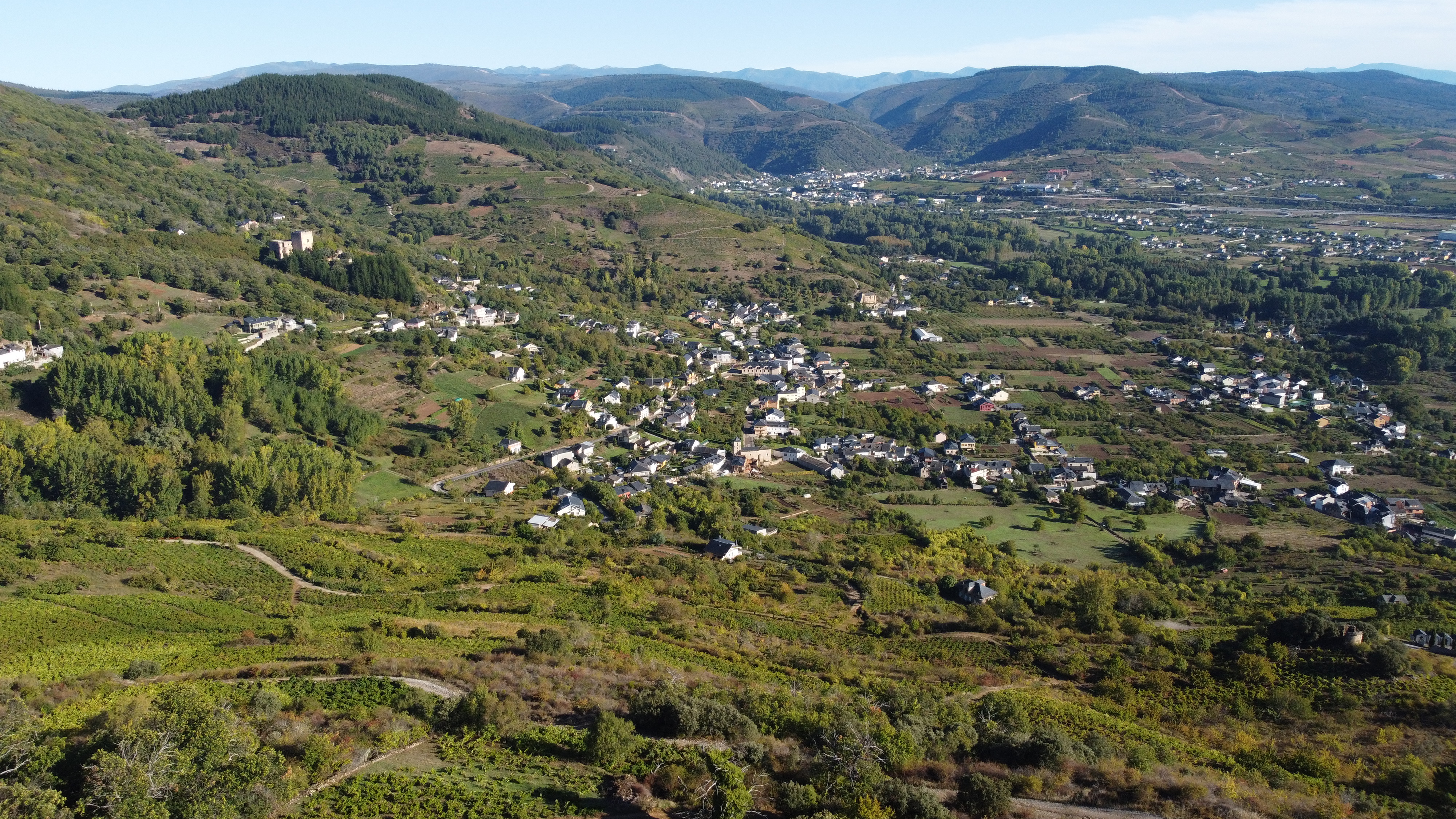 Interfaz Bierzo